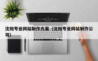 乌鲁木齐沈阳专业网站制作方案（沈阳专业网站制作公司）